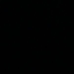 Meet your Posher, Greta